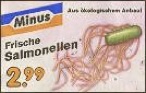 Kiez Geh Rock Revue Frische Salmonellen